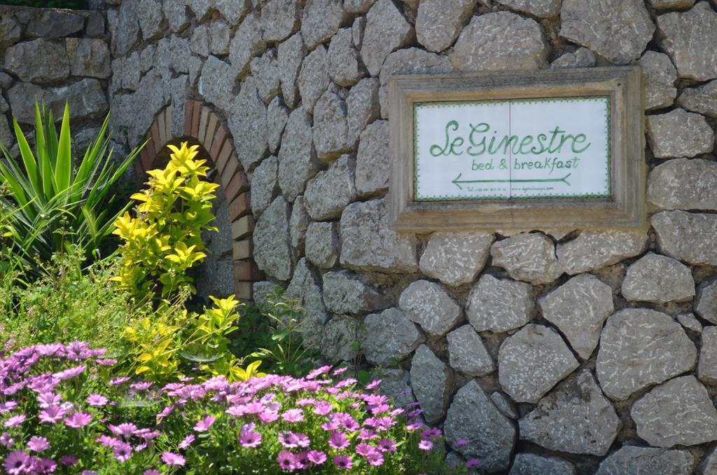 Le Ginestre Di Capri Bb & Holiday House Анакапри Екстериор снимка