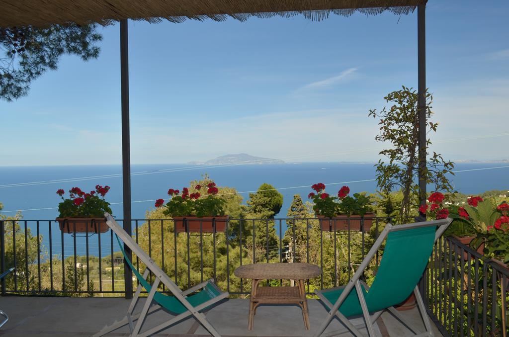 Le Ginestre Di Capri Bb & Holiday House Анакапри Екстериор снимка