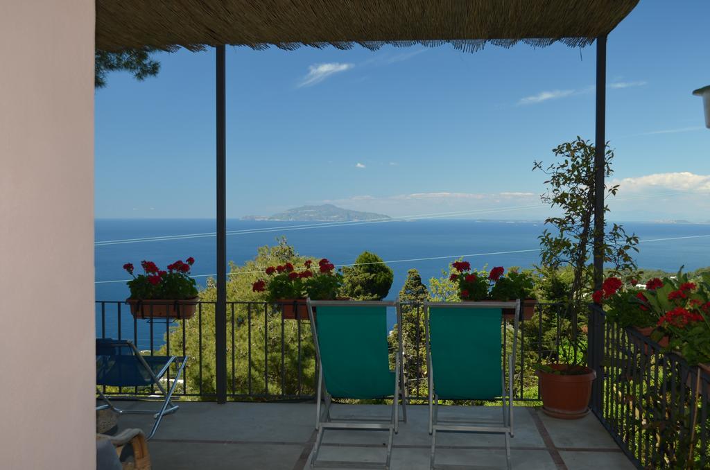 Le Ginestre Di Capri Bb & Holiday House Анакапри Екстериор снимка