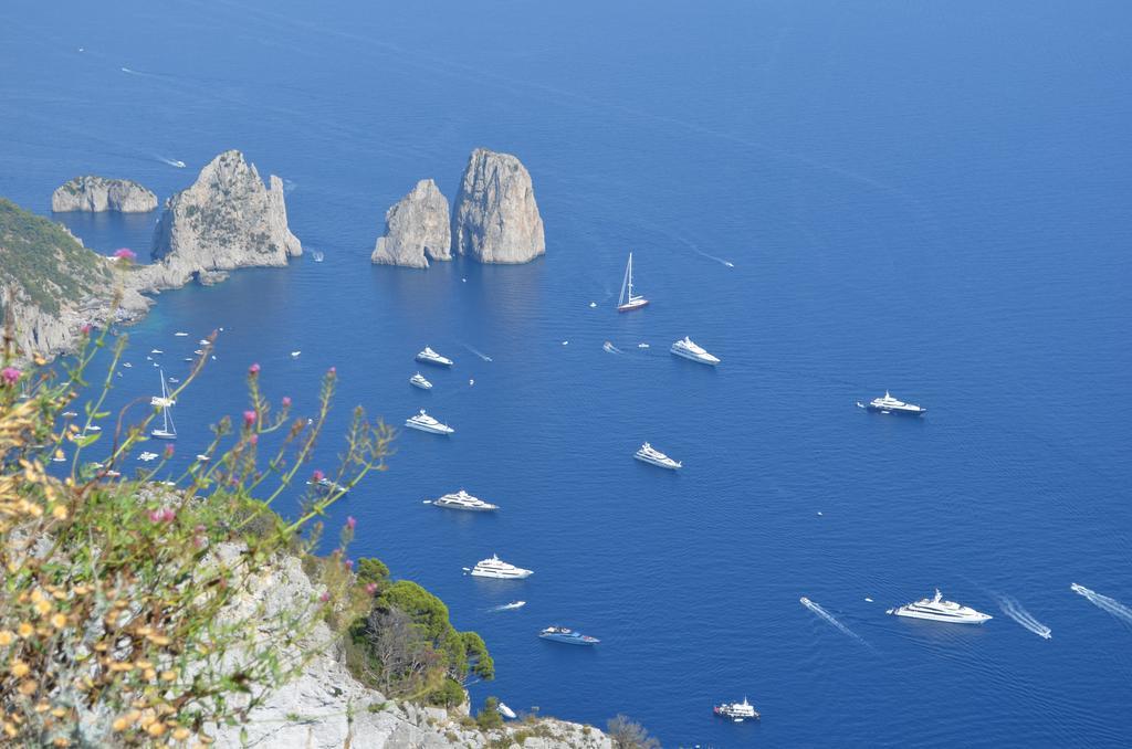 Le Ginestre Di Capri Bb & Holiday House Анакапри Екстериор снимка