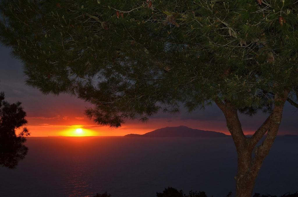 Le Ginestre Di Capri Bb & Holiday House Анакапри Стая снимка