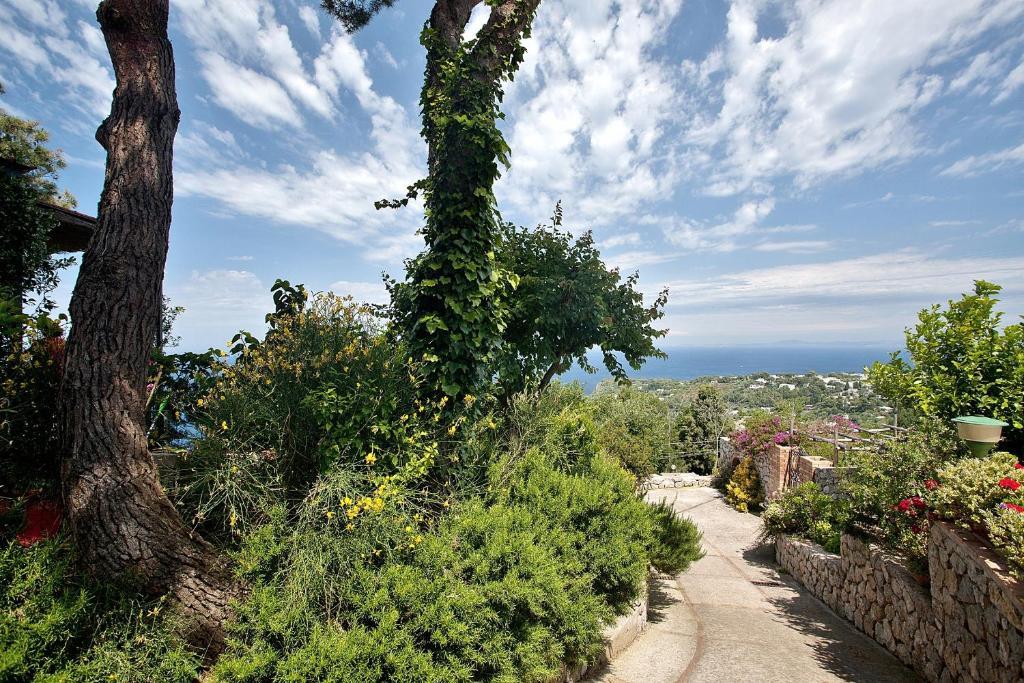 Le Ginestre Di Capri Bb & Holiday House Анакапри Екстериор снимка